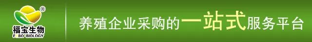 母雞產(chǎn)蛋前期、高峰期、后期怎么飼喂才能提高產(chǎn)蛋量,發(fā)揮最大生產(chǎn)潛能?